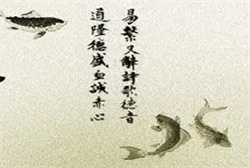 梦见自家买新楼房